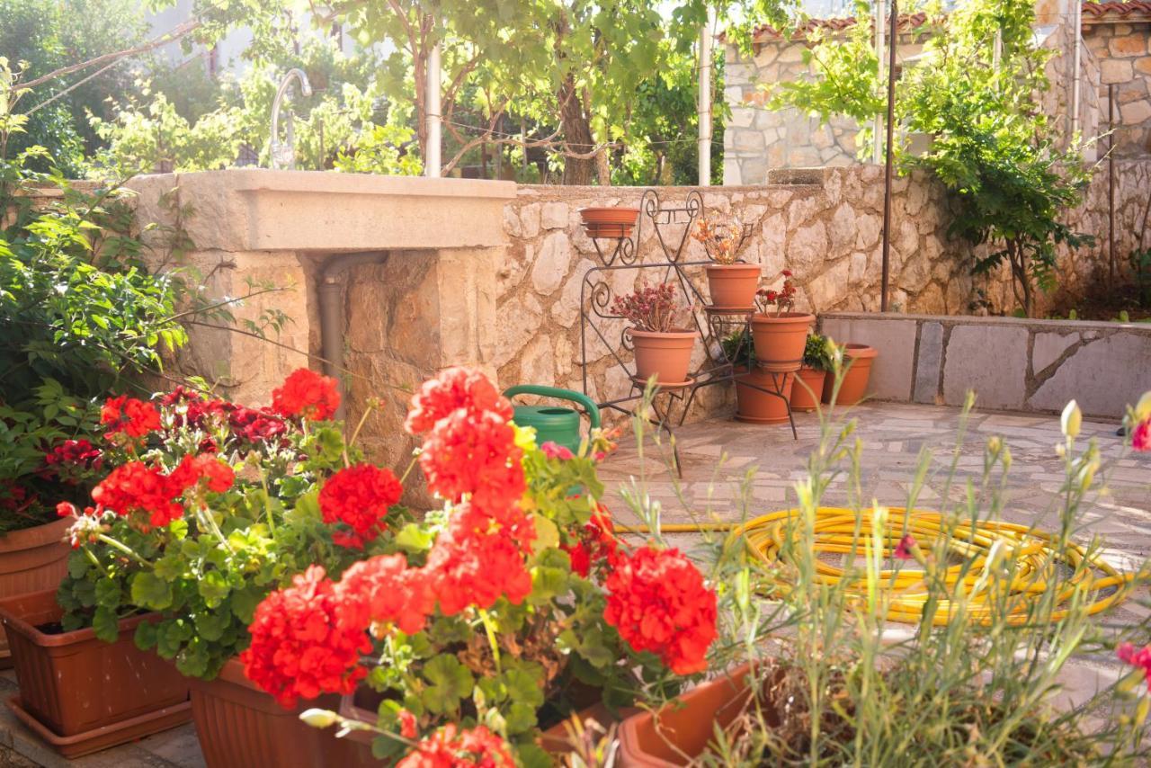 Apartments Sanja Cres Luaran gambar